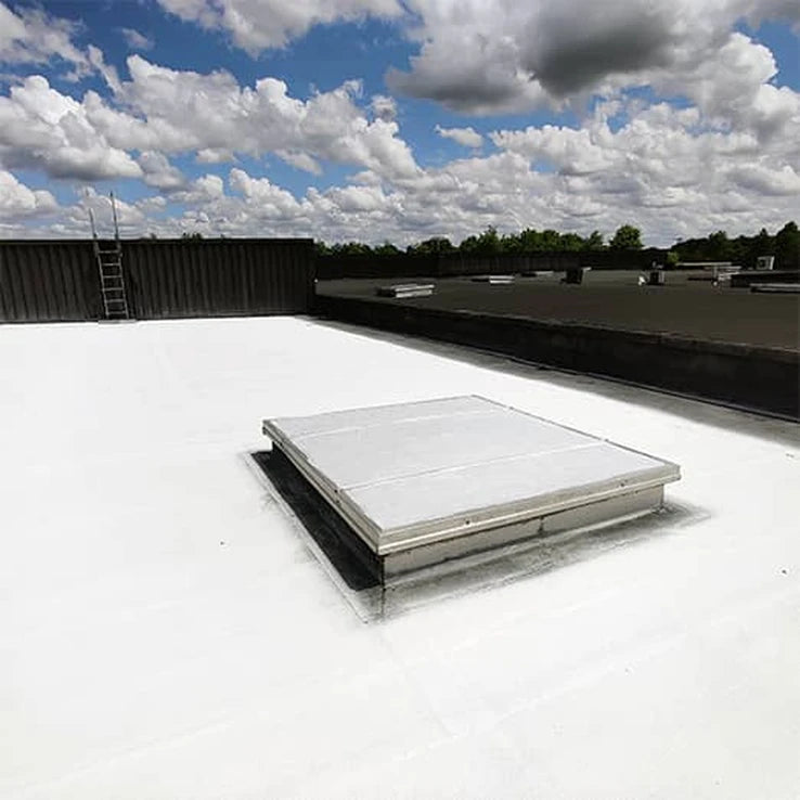 skydome polycarbonate avec laque solaire